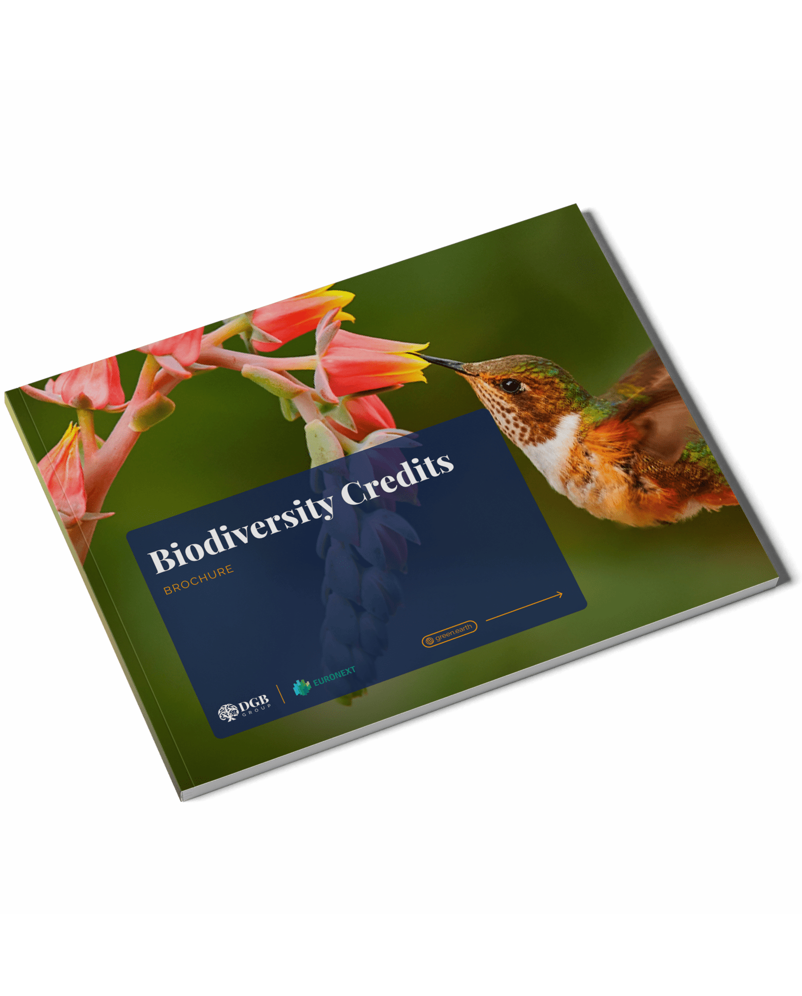DGB Biodiversity Credits Brochure dgb-biodiversity-credits-brochure